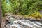 Mountain River Waterfalls - Deception Creek Falls - through Forest