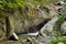 Mountain River whit cascade