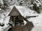 Mountain river in the winter forest. Mountain river stream in a snowy forest. Source of water in the reserve in winter