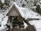 Mountain river in the winter forest. Mountain river stream in a snowy forest. Source of water in the reserve in winter