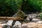 Mountain riverbed, summer sunny day, Aminov Nature Park Russia, Adygea region, traveling in the wild.