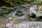 Mountain riverbed, summer sunny day, Aminov Nature Park Russia, Adygea region, traveling in the wild.