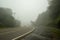 A mountain road covered by fog causing limited visibility