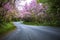 Mountain road of doi angkhang in chiangmai province northern of thailand