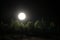 Mountain Road through the forest on a full moon night. Scenic night landscape of country road at night with large moon