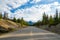 Mountain road in the forest in summer time. Maligne Lake Road. Jasper National Park, Canadian Rockies