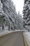 Mountain road by forest in winter,Rila mountain, Borovetz