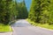 Mountain road in the forests of Dolomites on a sunny day