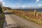 Mountain, road, lake and vegetation at Western way trail in Lough Corrib