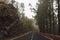 Mountain road with mist clouds