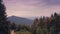 Mountain road in pine tree forest. Sunset mount range peak in background. Trekking in Carpathians