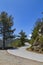 Mountain road serpentine. Troodos. Cyprus