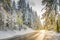 Mountain road, snowcapped pine trees at autumn sunrise in Bavarian Alps, Germany