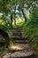 A mountain road with steps made of natural stones, going among the trees covered with moss