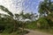 Mountain road of wanshi botanical garden