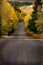 Mountain Road Way Roadway Travel Drive Forest Fall Colors Autumn