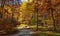 Mountain road in the wonderful autumnal forest