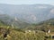 Mountain roads green nature beauty tea garden