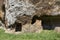 Mountain rock structures in Sutri, Viterbo, Italy