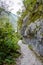 Mountain rocks path in Julian Alps