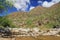 A Mountain of Saguaro in Bear Canyon in Tucson, AZ