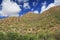 A Mountain of Saguaro in Bear Canyon in Tucson, AZ