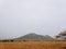 Mountain and Savana, Baluran National Park