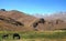 Mountain scenery with donkeys between Kabul and Bamiyan, Afghanistan