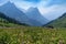 Mountain scenery with hazy skies and wildflowers in Glacier National Park along Going to the Sun Road