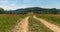 Mountain scenery with meadow, dirt road and hills covered by forest above Terchova in Slovakia