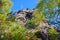 Mountain Scharfenstein rock in Zittau Mountains