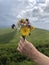 Mountain Serenity: Flower Bouquet and Artificial Tattoo. Carpathians, Ukraine