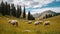 Mountain Serenity, Units with Sheep Grazing in Alpine Meadows amidst Breathtaking Scenery. Generative AI