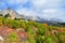 Mountain Shaan-kaya, the city of Alupka, Crimea. A very beautiful autumn landscape: forest, mountains, clouds. For cards, calendar