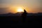 Mountain silhouette and Wild year`s horses,