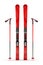 Mountain ski and stick vector illustration