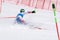 Mountain skier falling down on mountain slope. Russian Alpine Skiing Cup, slalom