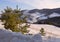 The mountain slope behind the small fir trees