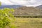 Mountain slopes of JaÃ©n with rows of olive trees