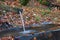 Mountain spring of pure, clear, fresh water with water trough in the forest