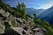 Mountain stone path in the forest. High tatra mountain