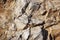 Mountain Stone texture