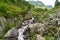 Mountain stream in the alps in summer