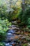 Mountain Stream Art