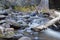 Mountain Stream Bear Creek Okanagan Valley BC