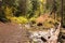 Mountain Stream in Cardiff Fork up Big Cottonwood Canyon