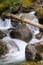 Mountain stream cascades over large boulders, a worn tree is caught up on a rock