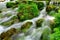 Mountain stream with cascades and waterfalls in Tara Springs Park, Montenegro