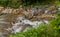 Mountain stream cascading over rocks and boulders