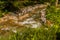 Mountain stream cascading over rocks and boulders